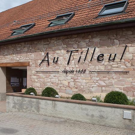 Au Tilleul Mittelhausbergen エクステリア 写真